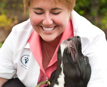 Dr. Suzy Brink Raleigh NC veterinarian at Falls Village Vet Hospital