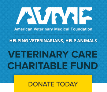 Vet Care Charity Fund - Donate Today