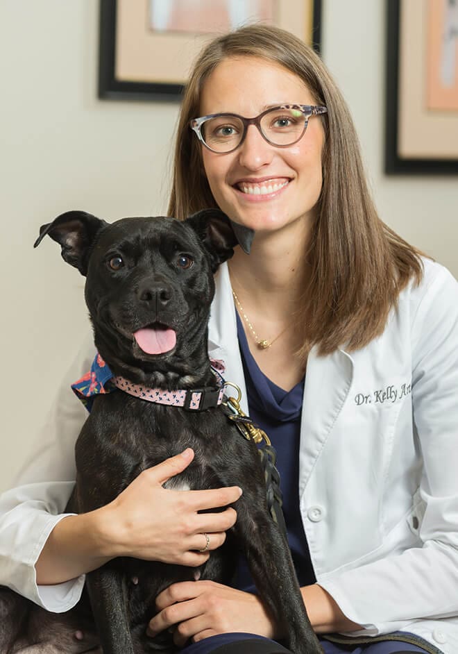 Dr. Kelly Arthur | Falls Village Vet Hospital | Raleigh, NC