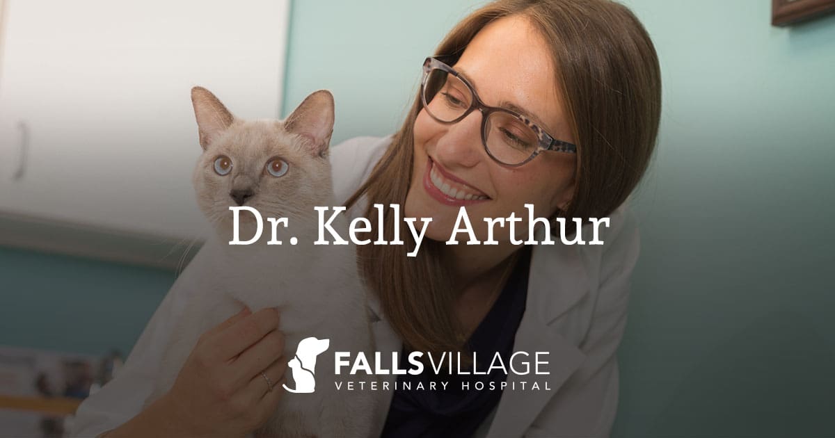 Dr. Kelly Arthur | Falls Village Vet Hospital | Raleigh, NC