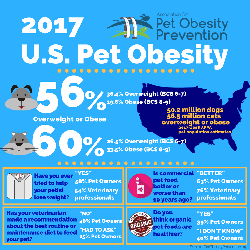 Stats on U.S. pet obesity which can cause diabetes