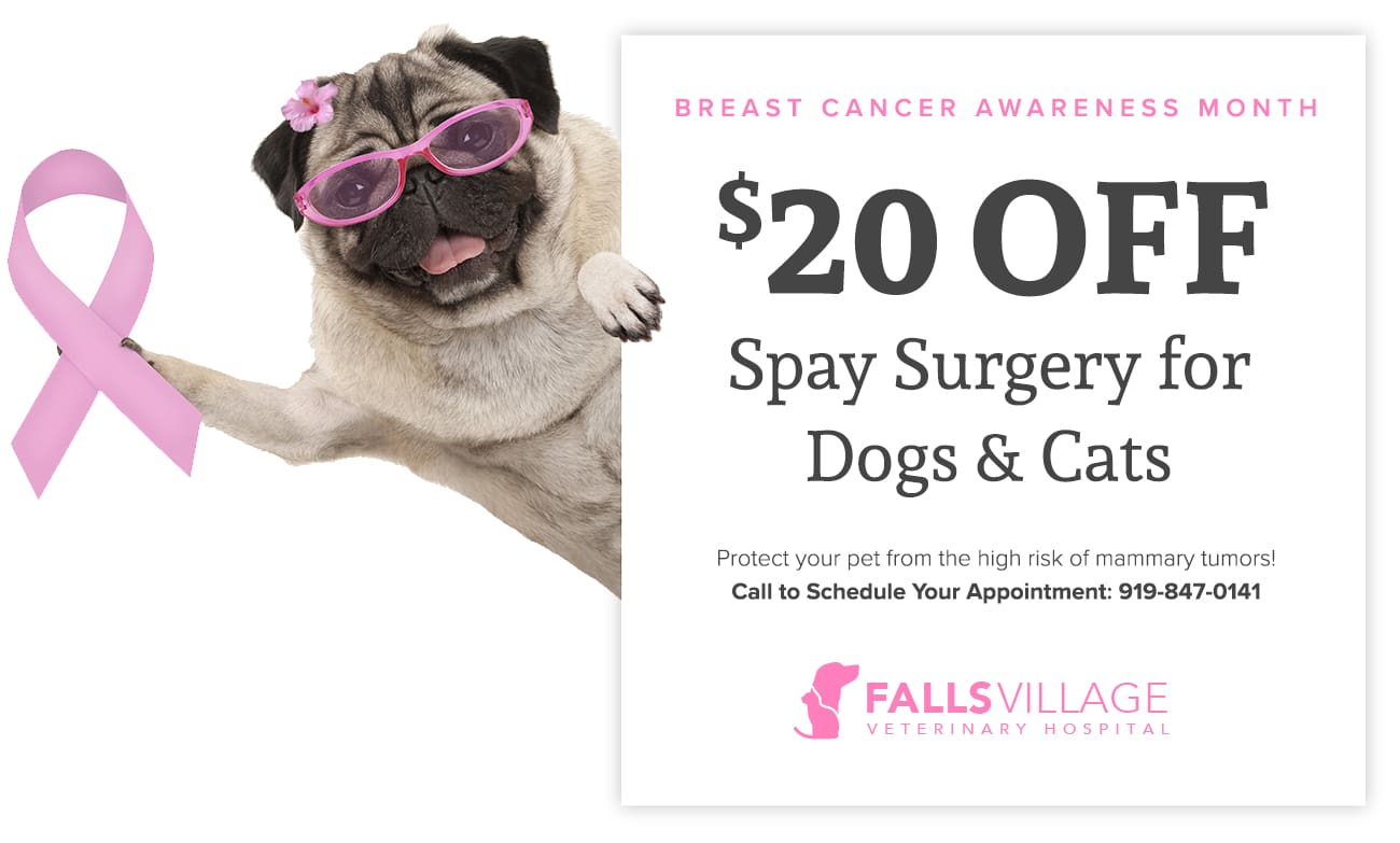 Raleigh NC dog cat spay discount promotion for Breast Cancer Awareness
