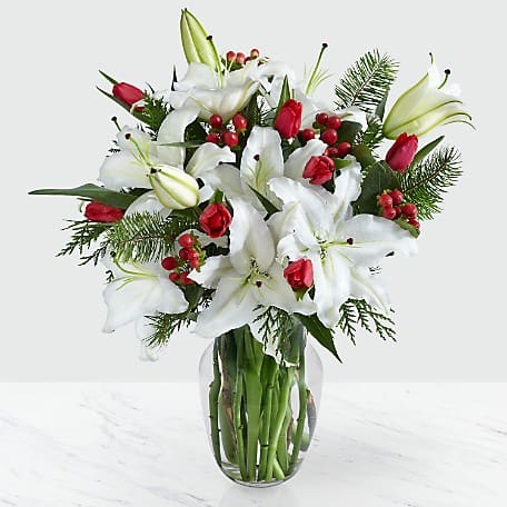 Are Lilies Poisonous to Cats? Holiday Bouquet Dangers · Falls Village