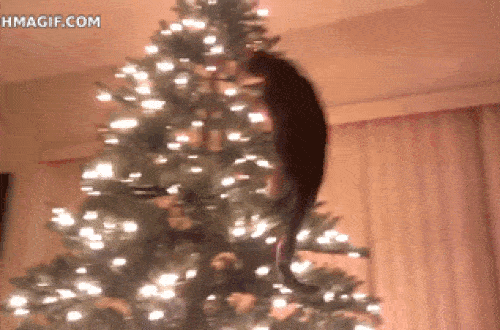what happens if my dog eats my christmas tree