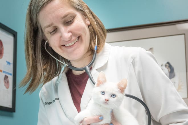 Dr. Templeton with Cat - Falls Village Veterinary Hopsital