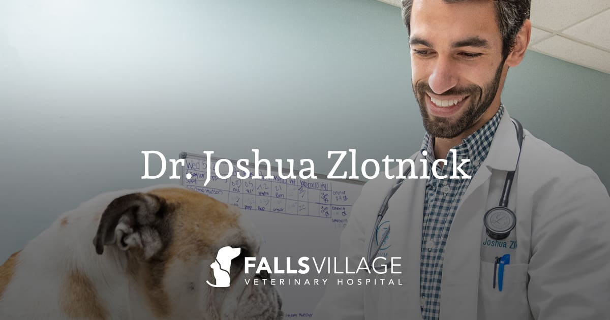 Dr. Joshua Zlotnick · Falls Village Vet Hospital - Raleigh, NC