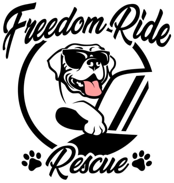 Freedom Rides Rescue