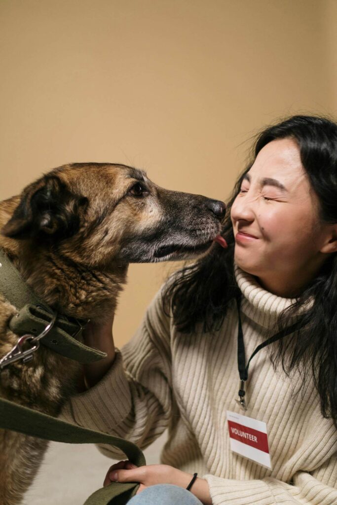 dog licks a Raleigh pet adoption event volunteer