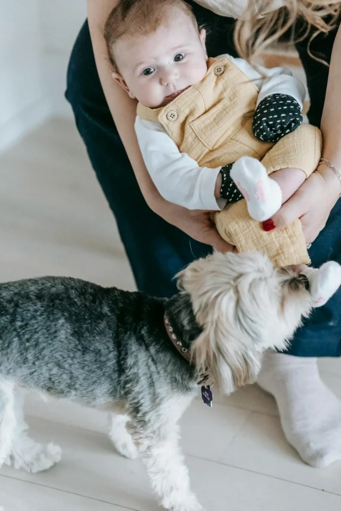 A mother safely introduces her dog to her baby